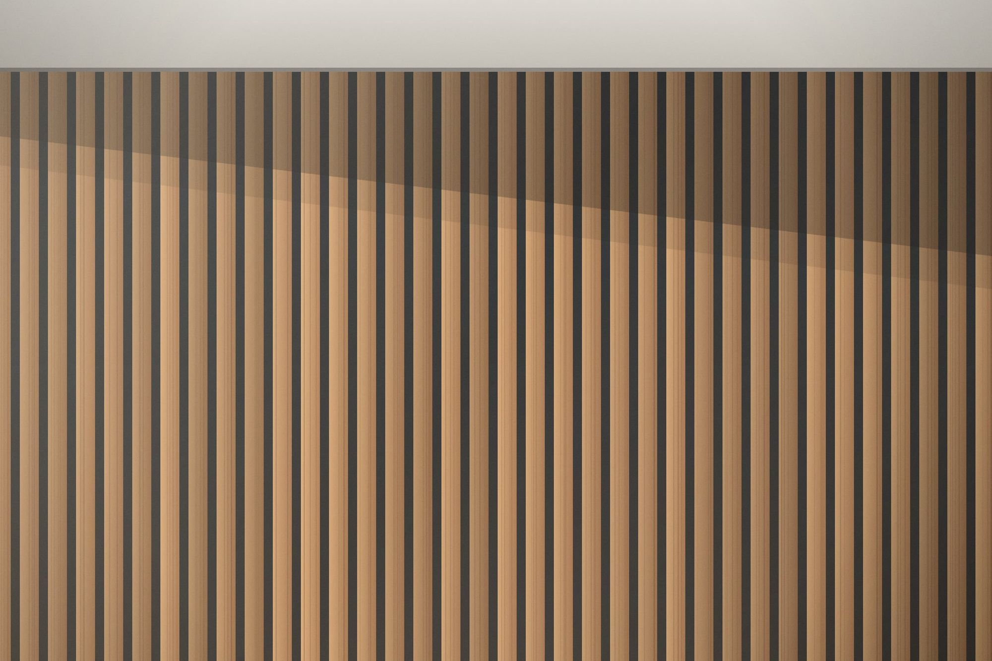 Close-up illustration of a facade made of vertical timber slats with a diagonal shadow from the roof above.